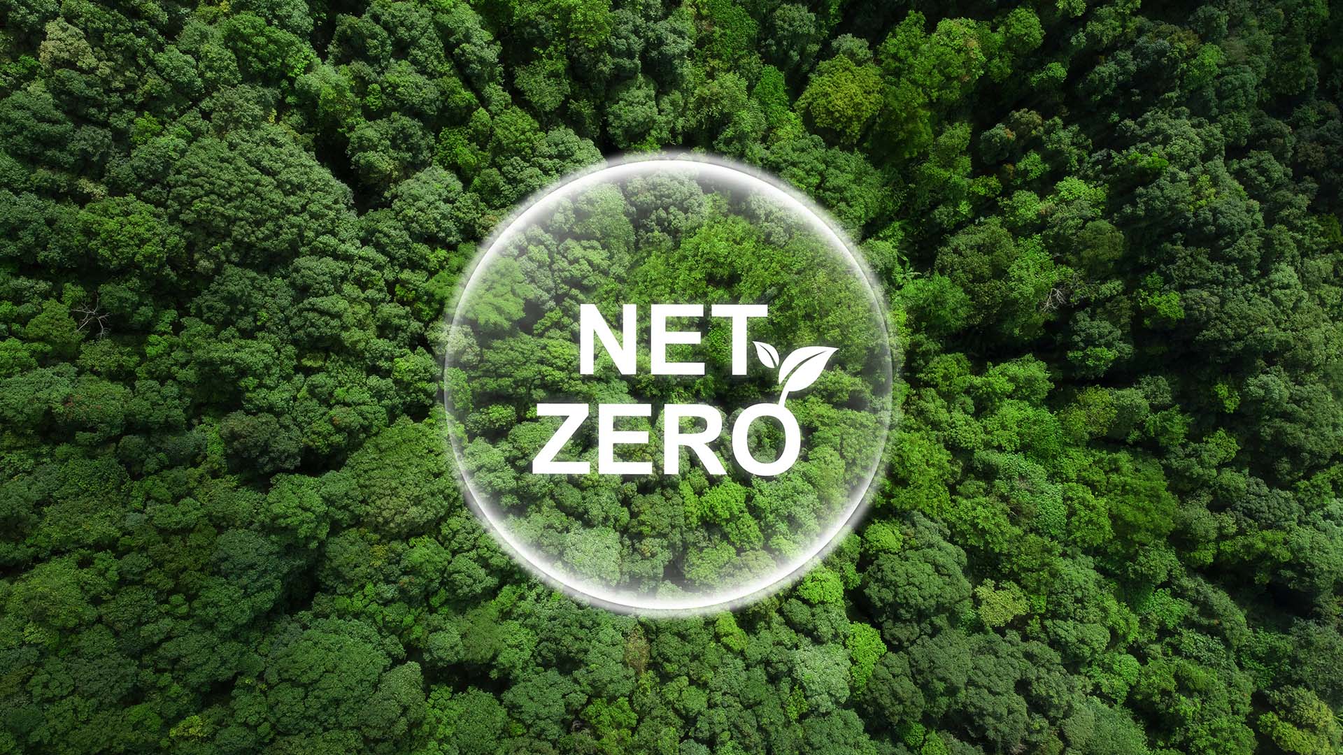 How Variable Speed Drives help towards Net Zero