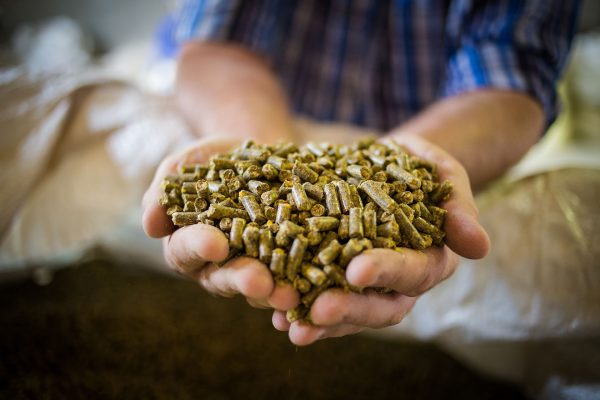 Agricultural and Animal Feed Mill Solutions from IDS - Drives, Motors, PLCs and Power Factor Correction this image shows a farm with animal feed cupped in his hands